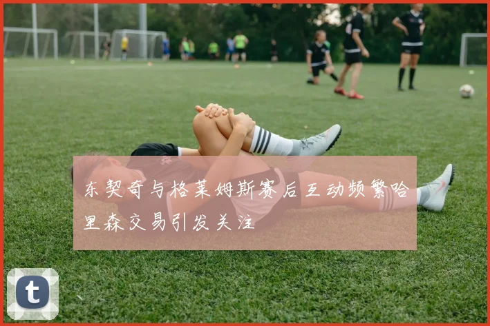 东契奇与格莱姆斯赛后互动频繁哈里森交易引发关注